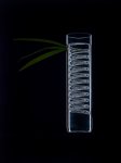 16_Konior_Sylvia_module01_contrastbeheersing-1_-_kopie.jpg