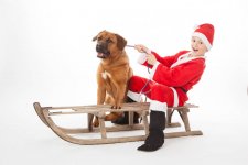 kerstkaart hond en kind